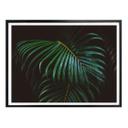 Plakat - Botanical 04