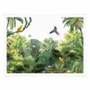 Póster Kikki Belle - Aves tropicales