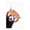Rød panda stofbillede - Korenkova