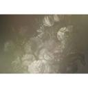 Livingwalls Fototapet Walls by Patel 2 dutch pastel 4