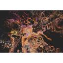 Livingwalls papier peint photo ARTist Abstract orange, rose, noir