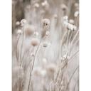 Fotomural Naturaleza Flores secas en tonos suaves - Annie