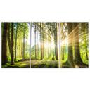 3 stykke lærredsprint Skovtræer Natur