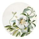 Sticker mural Ehret - Ciste - Rond