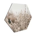 Hexagone - Alu-Dibond Annie - Herbes