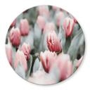 Tableau sur verre Annie - Tulipes de printemps - Rond
