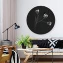 Tableau en Alu-Dibond Pan - Trio de tulipes - Rond