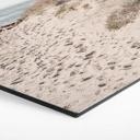 Hexagone - alu-Dibond 1X Studio - Montée de plage sur les dunes