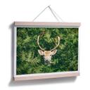 Póster Escondite en el bosque