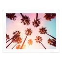 Póster de naturaleza California Dreaming con vista de palmeras - Hugonnard