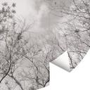 Fototapet - Rundt Cime degli alberi nel cielo - vliesetapet/selvklæbende non-woven tapet