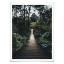 Póster camino forestal