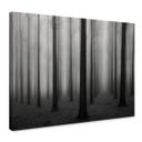 Lienzo Bongaerts - Niebla en el bosque