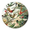 Plateau de table en verre rond- Haeckel - Colibris
