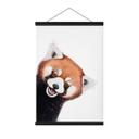 Rød panda stofbillede - Korenkova