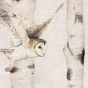 Fotomural Búhos en el bosque de abedules - Kikki Belle