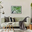 Poster Pavlasek - Cime des arbres verts
