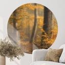 Vinilo decorativo Hojas doradas en un bosque brumoso - Maier - Redondo