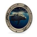 Cuadro de madera ojo de buey con óptica 3D - Ballena jorobada buceando - Redondo