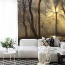Cuadrado - Luz - 432x260 cm fotomural