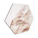 Hexagon Dibond Windy Grass