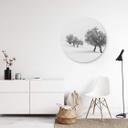 Wandcirkel Carrillo Lopez - White World