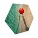 Hexagone - Bois Ambra - Au bord de la mer
