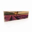 Panneau en bois Lavande en Provence