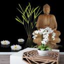 Fotomural Zen Buda - 240x260 cm