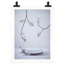 Póster Karpova - Spa y Zakura - Naturaleza muerta floral de primavera