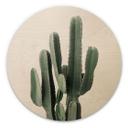 Cuadro de madera planta de cactus - Sisi & Seb - Redondo