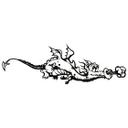 Dragen Willi - Monokrom
