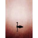 Livingwalls papier peint photo ARTist Swan Lake