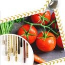 Poster - Fresh Cooking