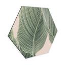 Hexagon Dibond Calathea-plante - Sisi & Seb