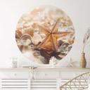 Vinilo decorativo Conchas en una playa soleada - Treechild - Redondo