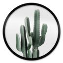 Póster planta de cactus - Sisi & Seb - Redondo
