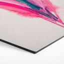 Hexagon Dibond Kubistika - Bouquet of Feathers