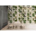 Fotomural Paredes de Patel 3 Plant Shop 2 verde, beige, gris