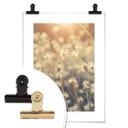 Póster Mexican Daisy - Primer plano