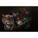 Livingwalls Fototapet Walls by Patel Wildlife 1