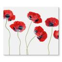 Disher kogeplade dækplade - Poppies