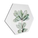 Hexagon Dibond Sisi & Seb - Botanisch