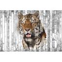 Architects Paper Papier peint photo Atelier 47 Polygon Tiger  