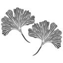 Wallsticker Gingko blade (2 dele)