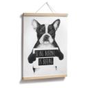 Plakat - Solti - Being normal is boring