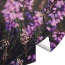 Natur fototapet lilla lyngblomst i varmt lys - Annie - Round - vliesetapet/selvklæbende non-woven ta