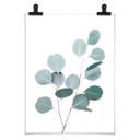 Plakat - Sisi & Seb - Blå eucalyptus