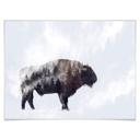 Plakat - Beáta - Bison