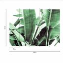 Nature PalmFronds2 tapet i grøn-hvid - non-woven tapet Designwalls 2 - 2,55 x 3,5 m